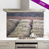 Deer Track - Limited Edition Splashback (June 22)